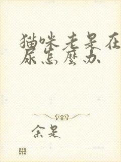 猫咪老是在床上尿怎么办