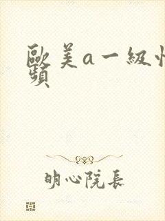 欧美a一级性视频