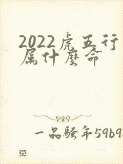 2022虎五行属什么命封面