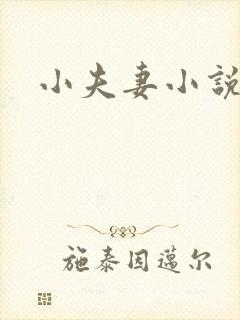小夫妻小说