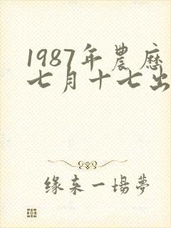 1987年农历七月十七出生的人命运