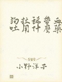 狗拉稀带血 呕吐用什么药