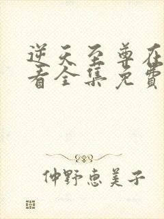 逆天至尊在线观看全集免费播放动漫封面