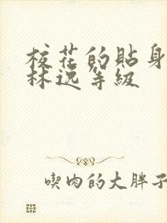 校花的贴身高手林逸等级