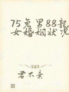 75兔男88龙女婚姻状况封面