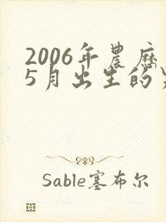 2006年农历5月出生的男孩命运怎么样