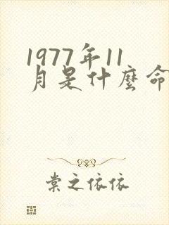 1977年11月是什么命五行属性