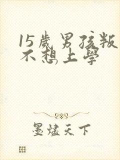 15岁男孩叛逆不想上学封面