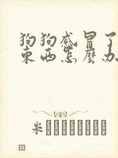 狗狗感冒了不吃东西怎么办