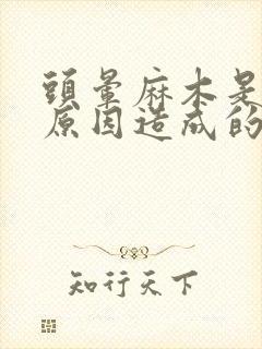 头晕麻木是什么原因造成的