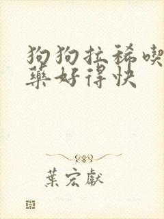 狗狗拉稀吃什么药好得快