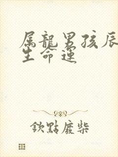 属龙男孩辰时出生命运