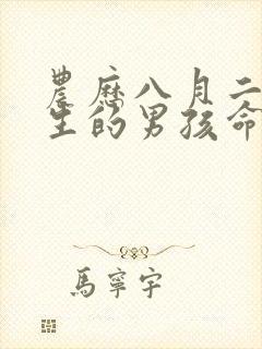 农历八月二十出生的男孩命运封面