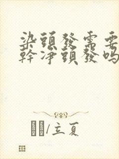 染头发需要先洗干净头发吗