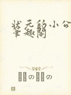 状元的小公主 笔趣阁封面