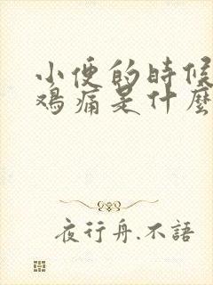 小便的时候小鸡鸡痛是什么原因封面