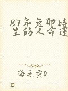 87年兔卯时出生的人命运?