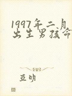1997年二月出生男孩命运封面