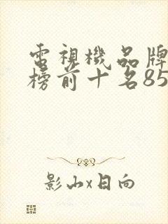 电视机品牌排行榜前十名85寸