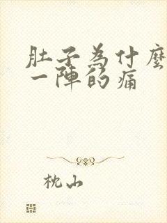 肚子为什么一阵一阵的痛封面