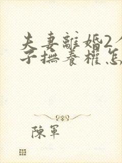 夫妻离婚2个孩子抚养权怎么判定封面