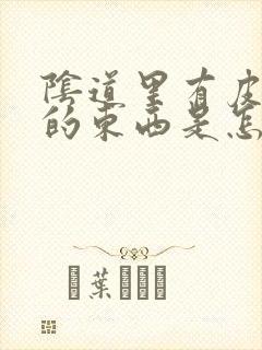 阴道里有皮一样的东西是怎么回事封面