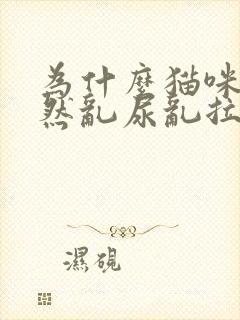 为什么猫咪会突然乱尿乱拉