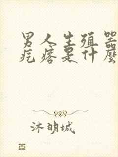 男人生殖器长小疙瘩是什么原因