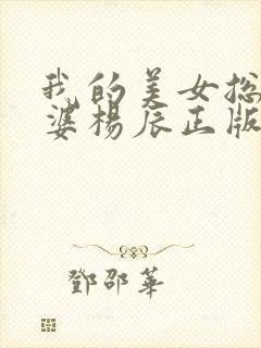 我的美女总裁老婆杨辰正版电视剧封面