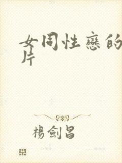 女同性恋的黄色片封面