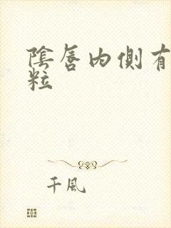 阴唇内侧有小肉粒封面