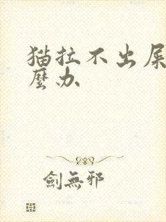 猫拉不出屎尿怎么办