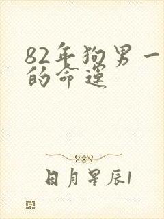 82年狗男一生的命运