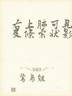 右上肺可见斑点及条索状影