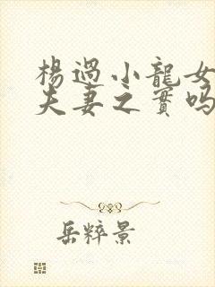 杨过小龙女有过夫妻之实吗