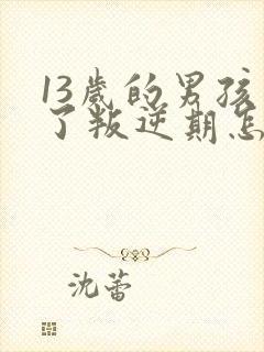 13岁的男孩到了叛逆期怎麽教