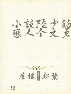 小说陆少的秘密恋人全文免费阅读