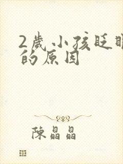 2岁小孩眨眼睛的原因