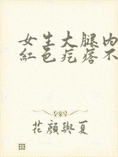 女生大腿内侧有红色疙瘩不痒封面