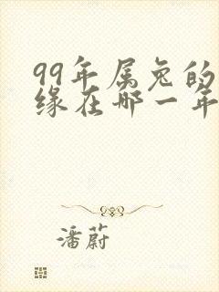 99年属兔的姻缘在哪一年封面