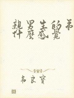 亲男生的弟弟是什么感觉