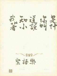 我知道你是谁原著小说叫什么名字