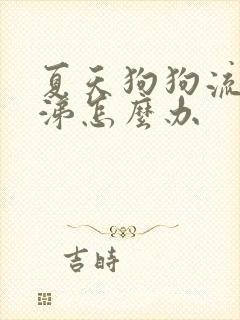 夏天狗狗流清鼻涕怎么办