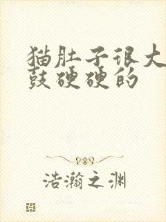 猫肚子很大两侧鼓硬硬的