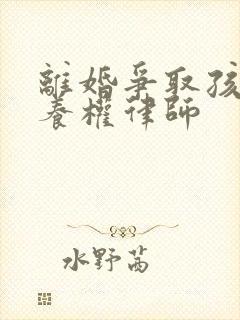 离婚争取孩子抚养权律师