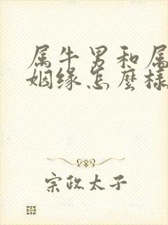 属牛男和属龙女姻缘怎么样