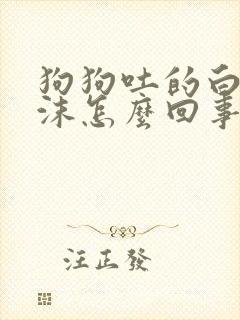 狗狗吐的白色泡沫怎么回事