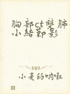 胸部ct双肺微小结节影