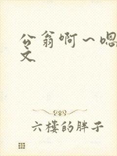 公翁啊～嗯啊h文