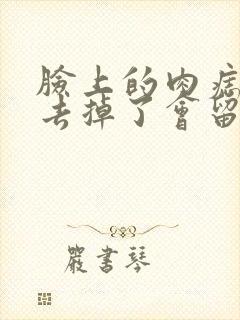 脸上的肉痣手术去掉了会留疤吗